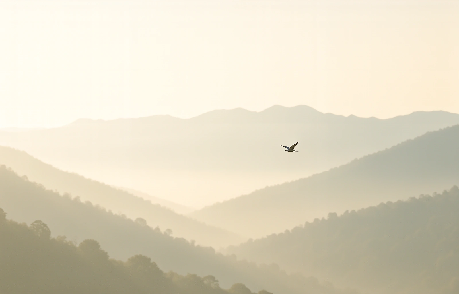 เส้นทางที่หายไปในสายหมอก